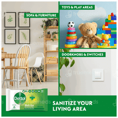Dettol Original Multi Use Skin & Surface Wipes 10