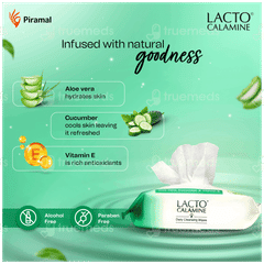 Lacto Calamine Daily Cleansing Wipes 25