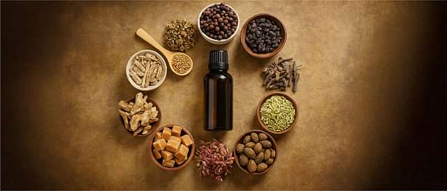Digestive Health and Metabolism