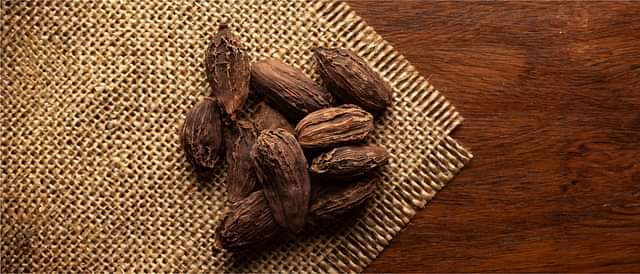 Digestive Health and Metabolism