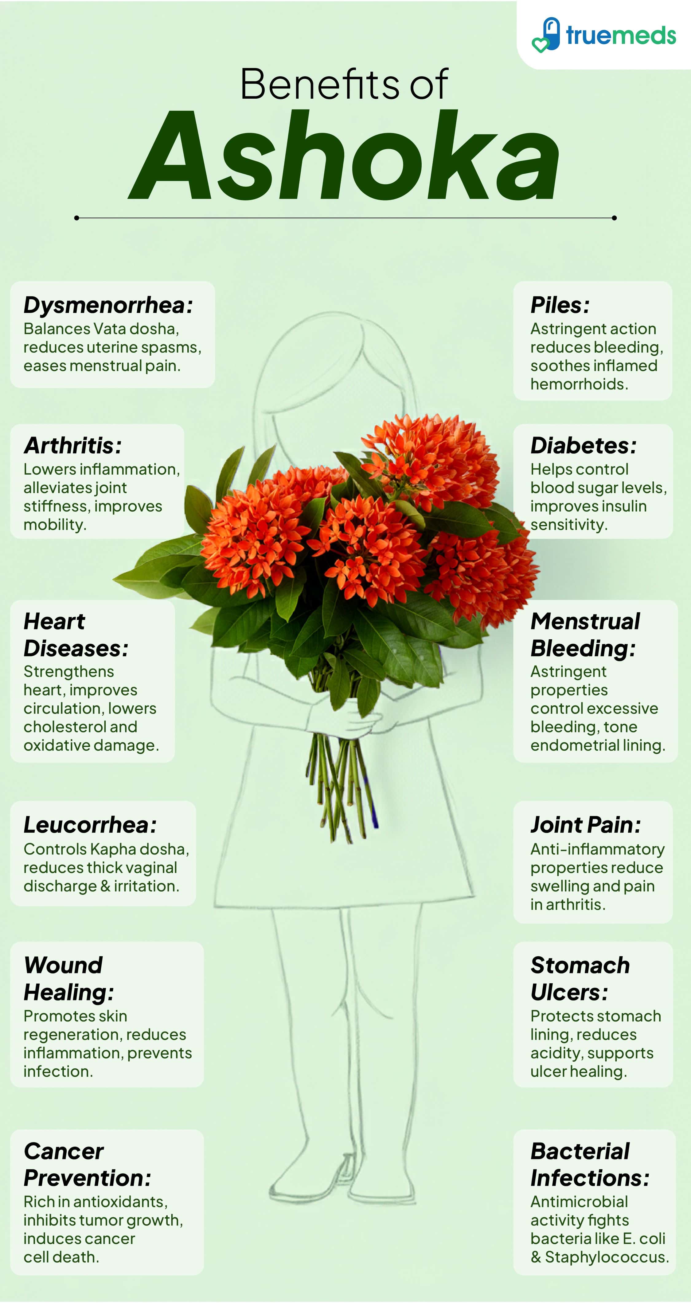 Image showing Benefits of Ashoka