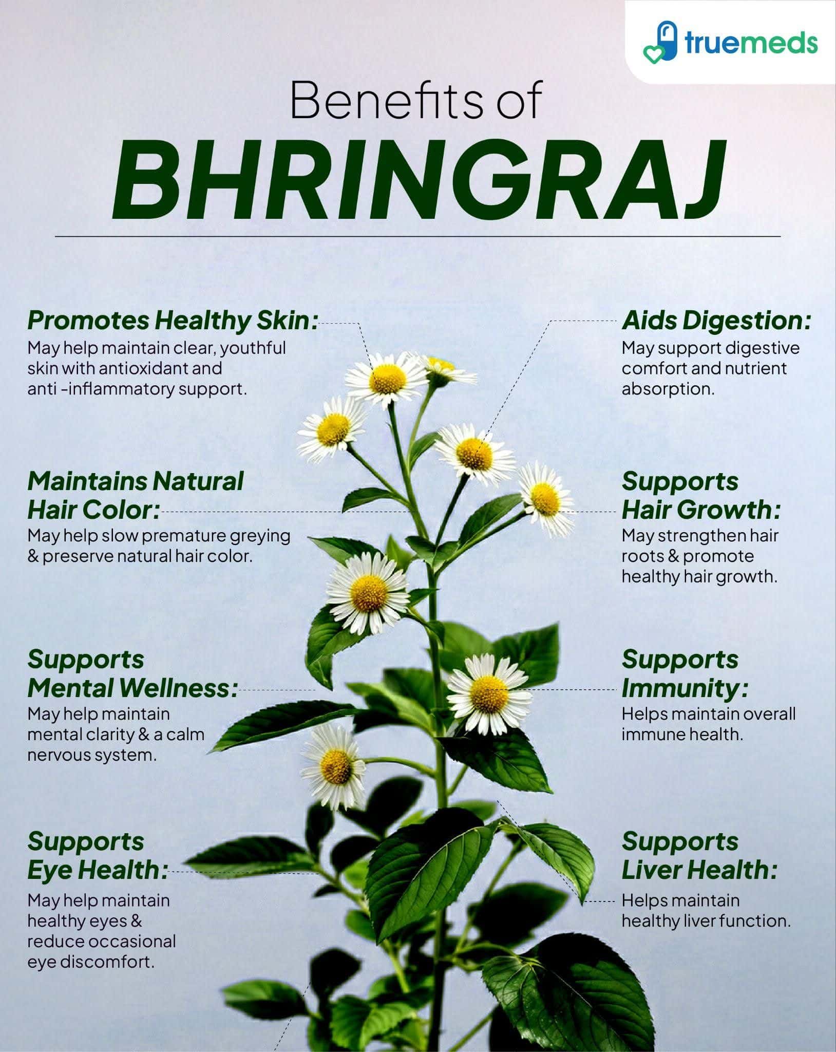 An infographic highlighting bhringraj benefits for hair growth, skin health, digestion, immunity. Up