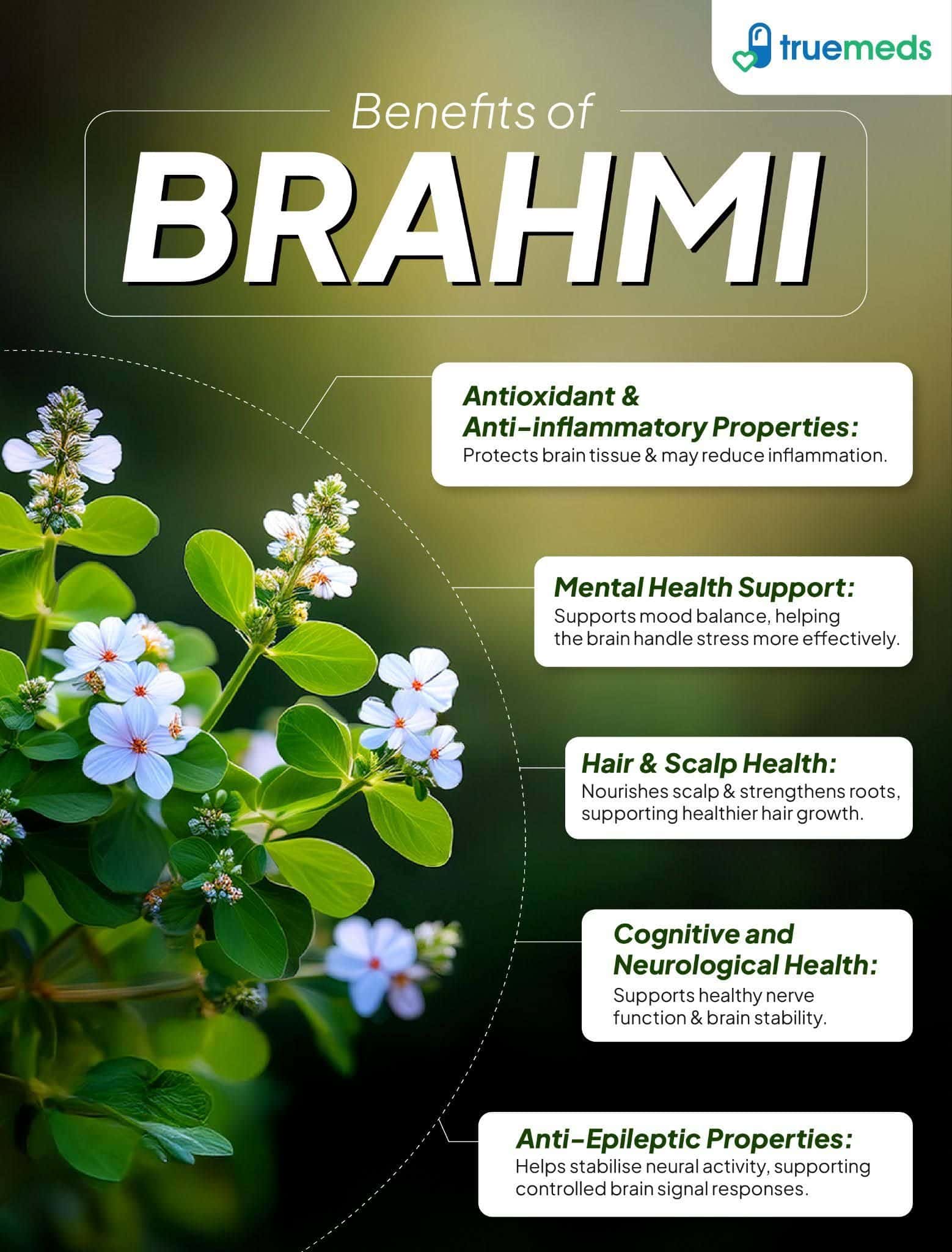 Benefits of Brahmi infographic showing brain health, mental wellness, hair growth, and antioxidant benefits.