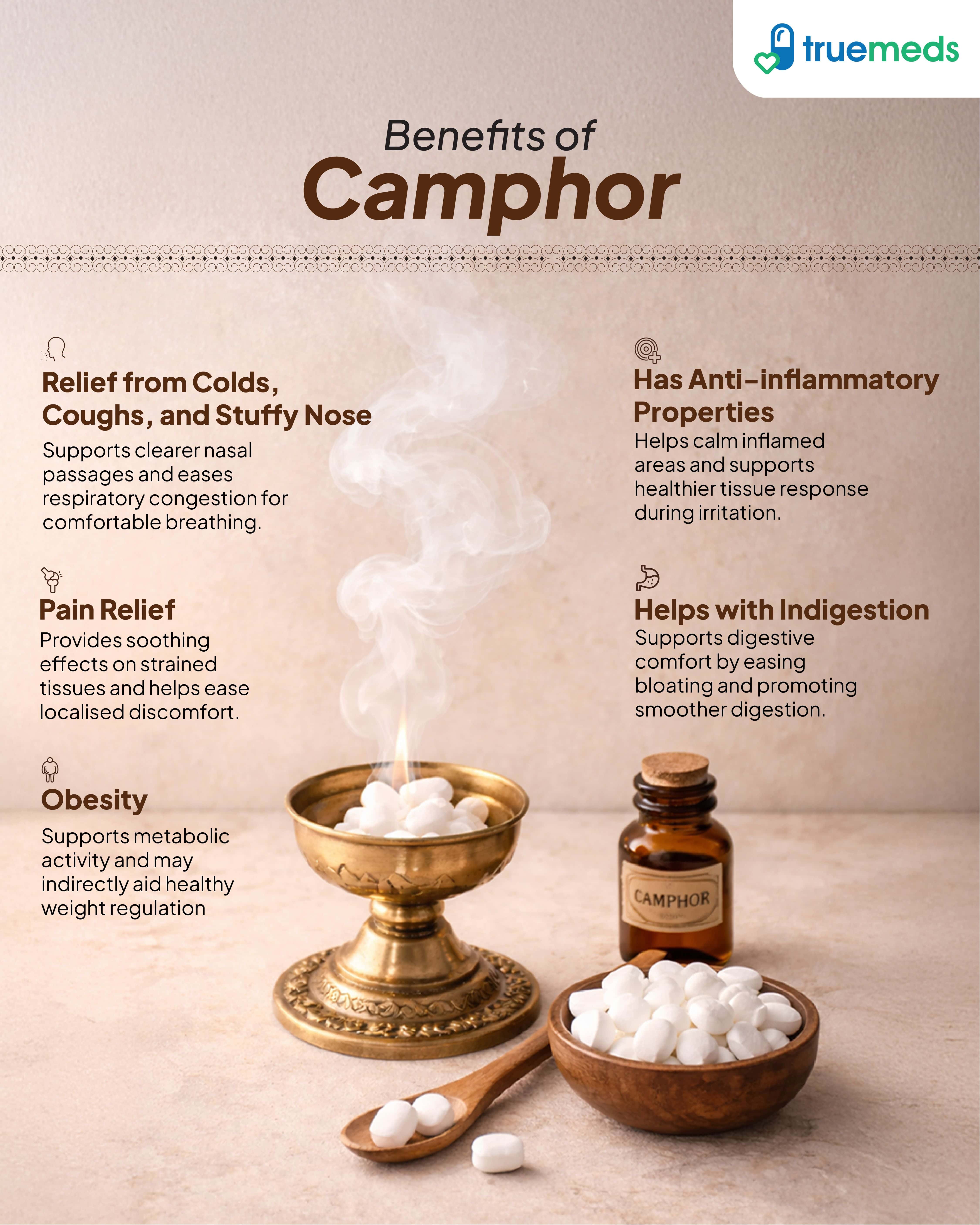 An infographic highlighting camphor benefits for colds cough pain digestion metabolism