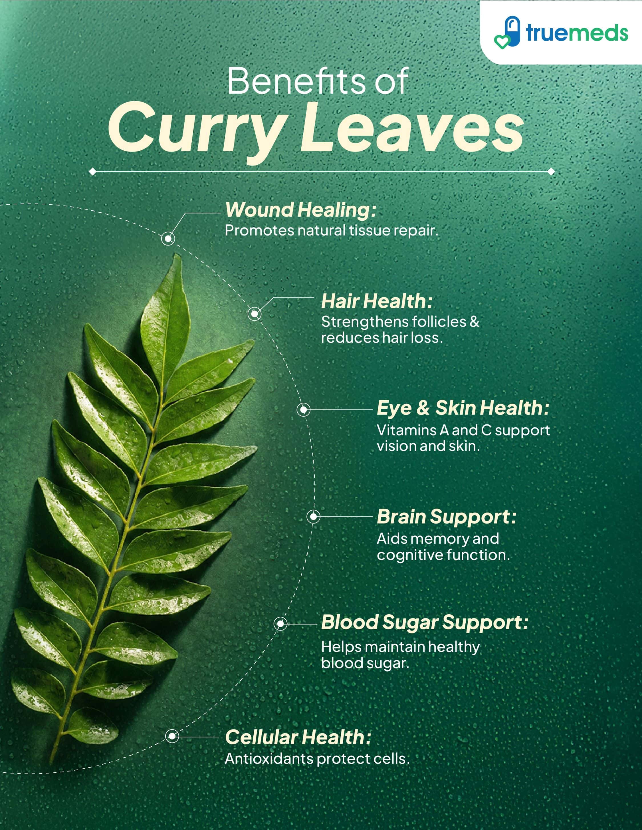An infographic showing benefits of curry leaves for wound healing, hair strength, skin health, brain support, blood sugar, and cells.