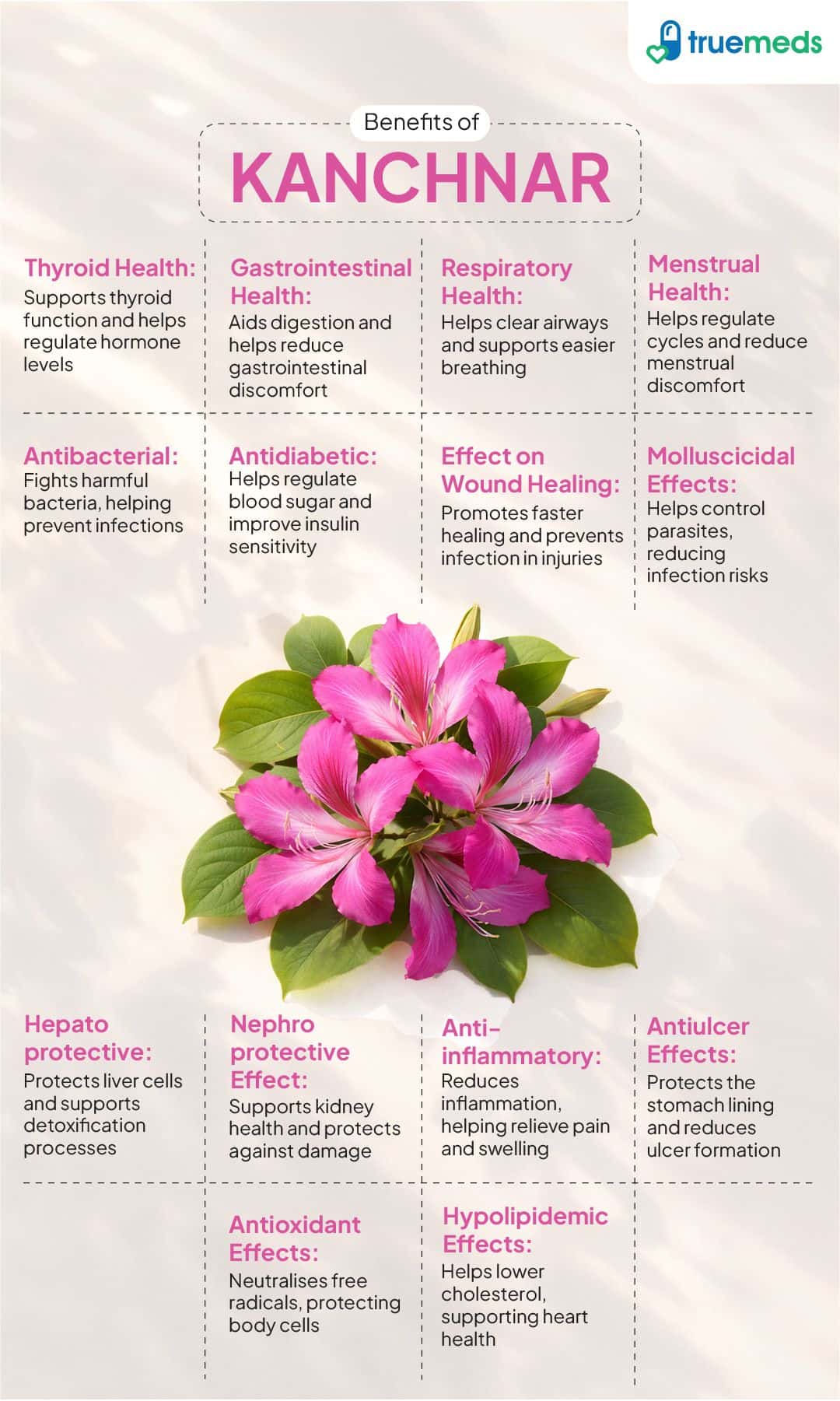 image of benefits of kachnar