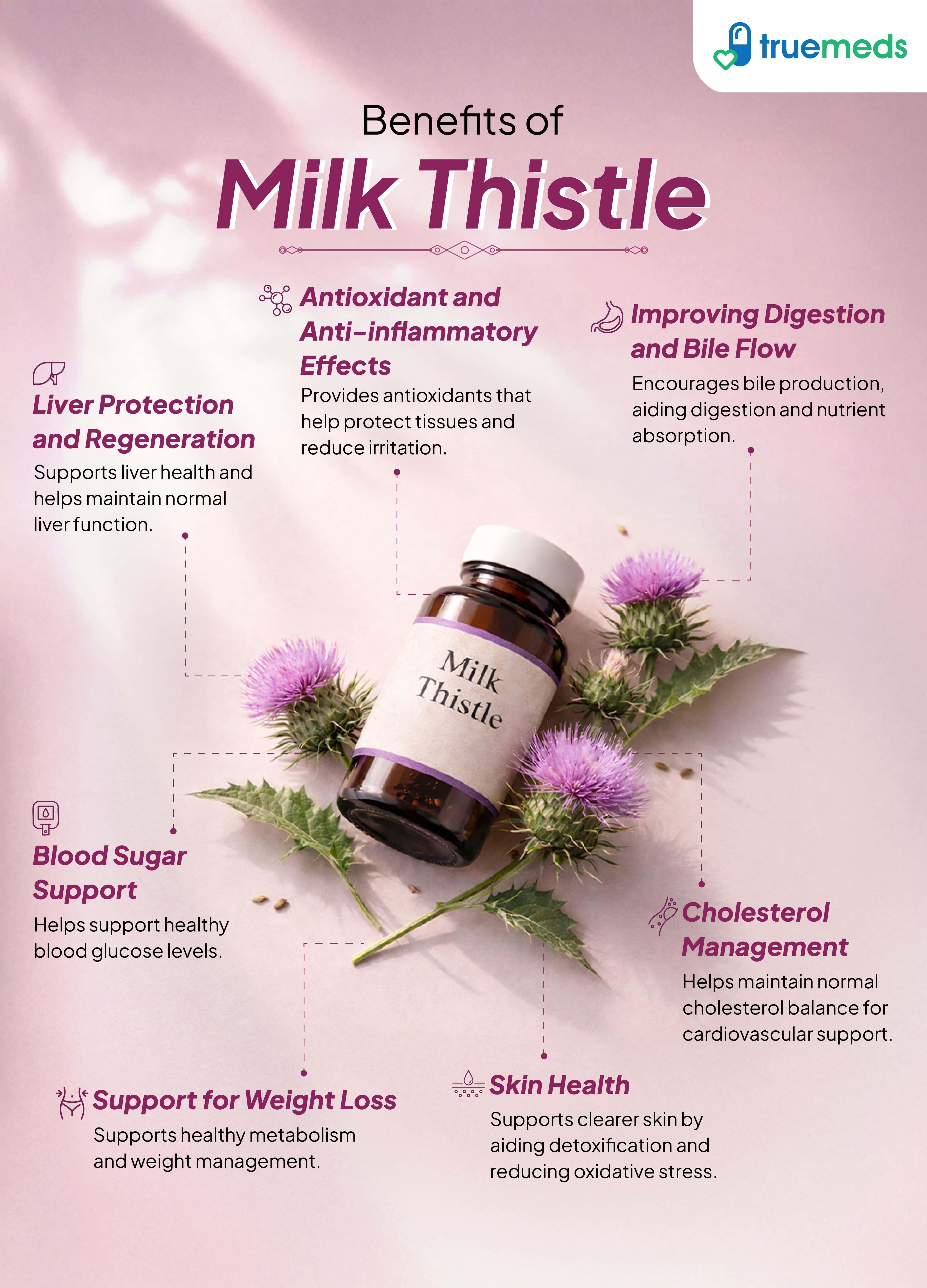 An infographic highlighting milk thistle benefits for liver health, digestion, immunity and skin