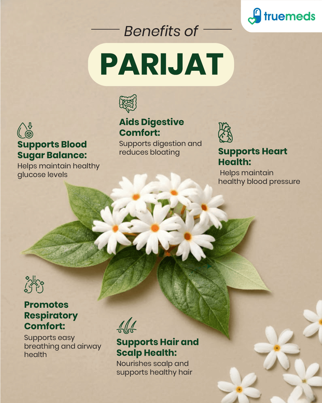 An infographic highlighting Parijat benefits for blood sugar balance, digestion, heart health, respiration, and hair care.