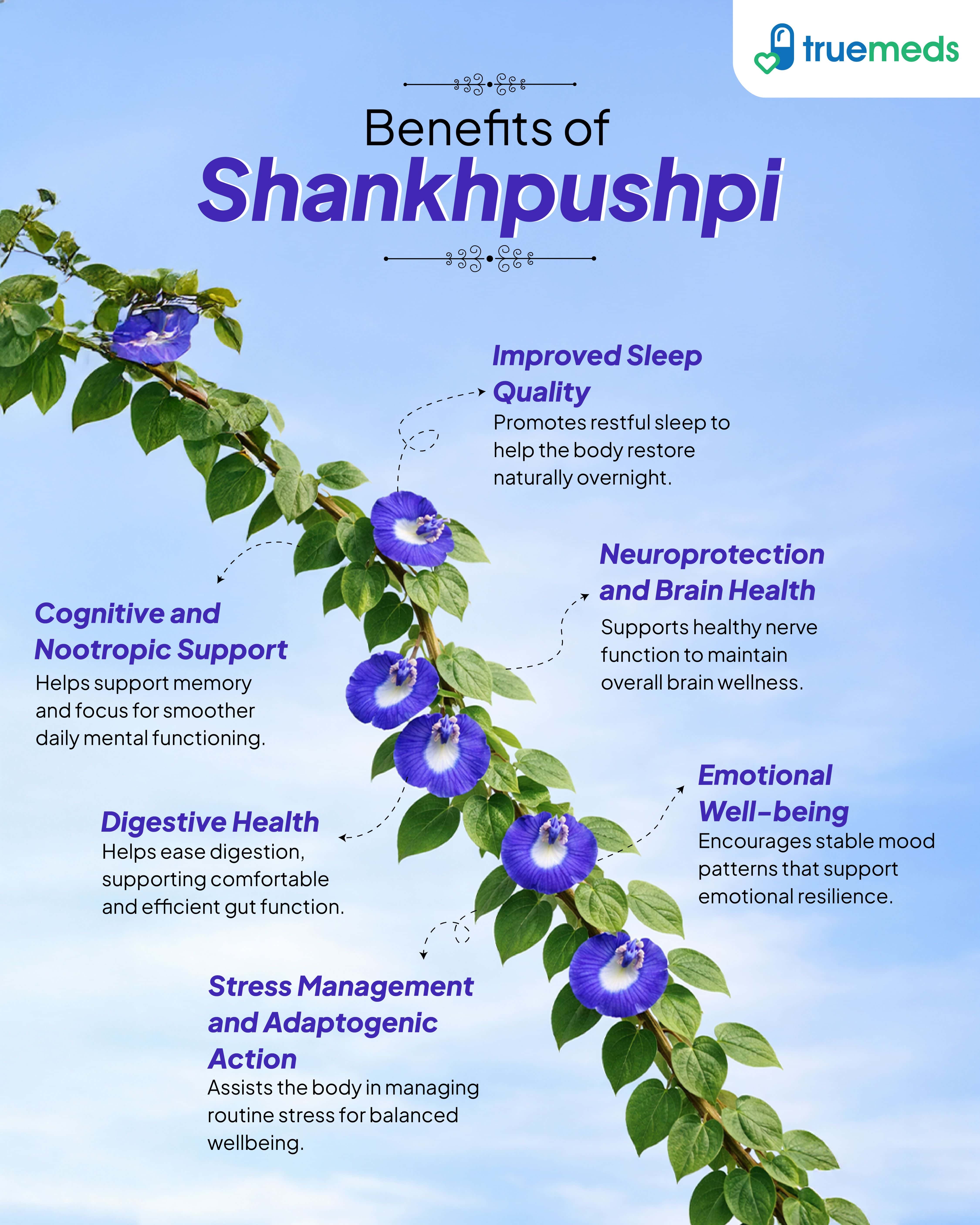 An infographic highlighting Shankhpushpi benefits for memory, sleep, stress relief and digestion.