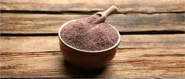 Digestive Health and Metabolism
