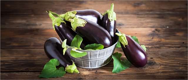 Nutrition & General Wellness