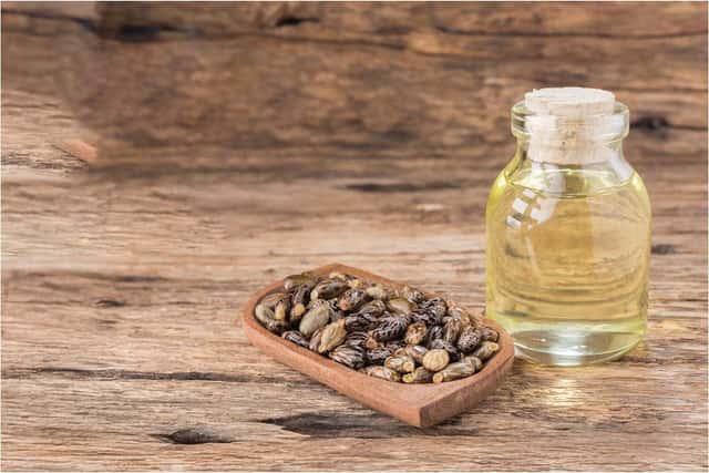 Close-up of glossy castor beans beside a clear glass bottle filled with castor oil on wooden background – known in Ayurveda for detox, hair growth, and skin health