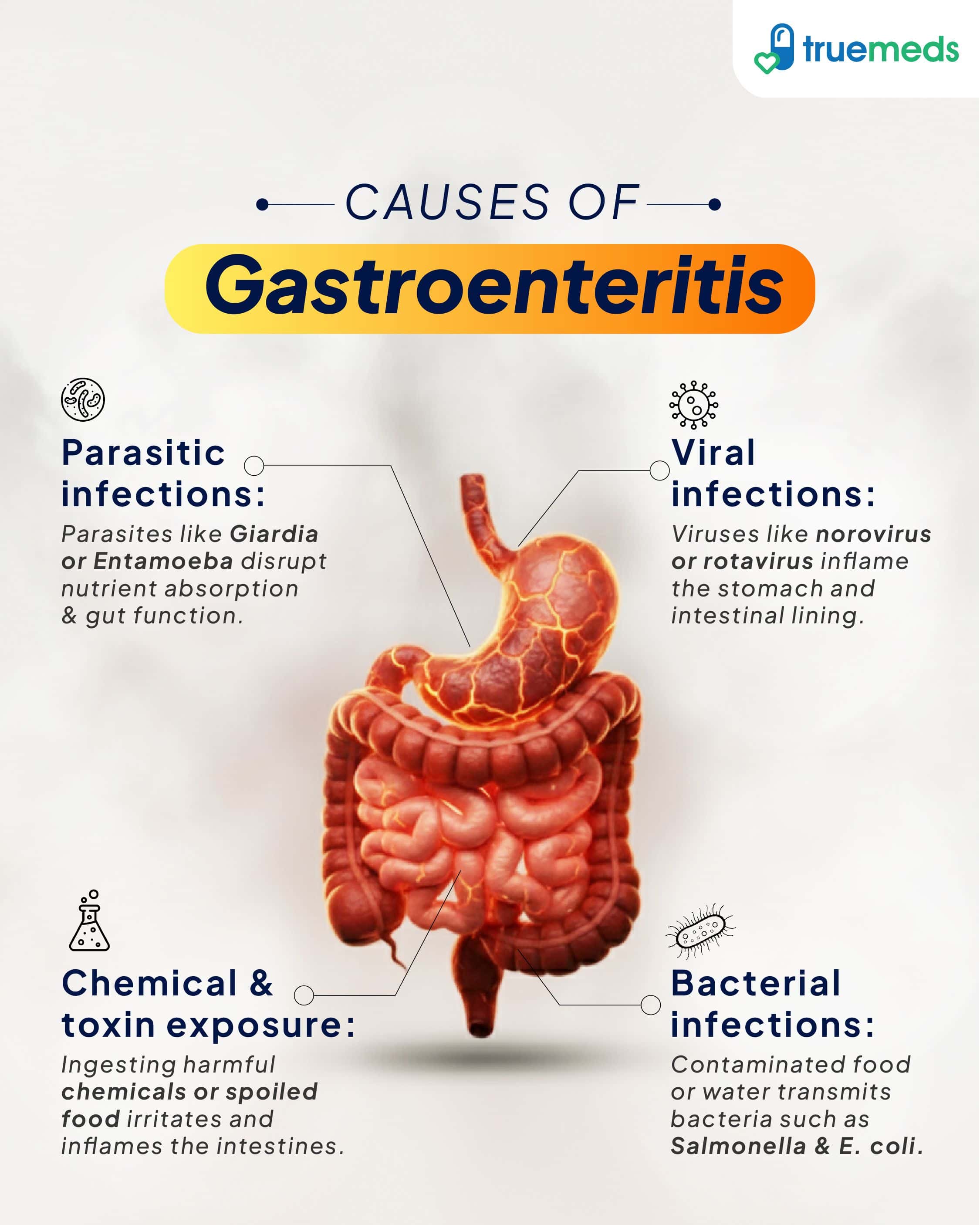 Infographic showing causes of Gastroenteritis