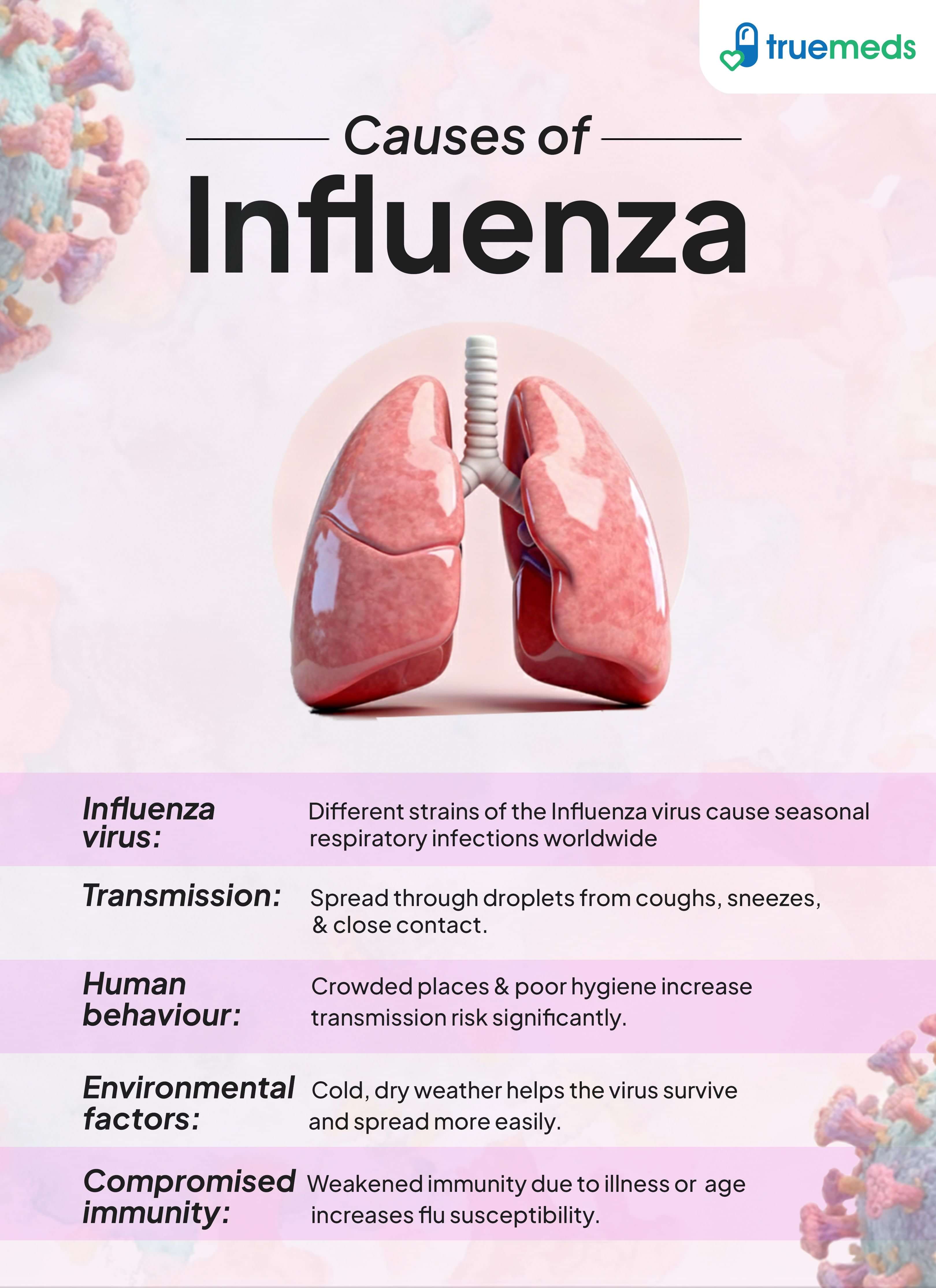 causes of influenza infographic