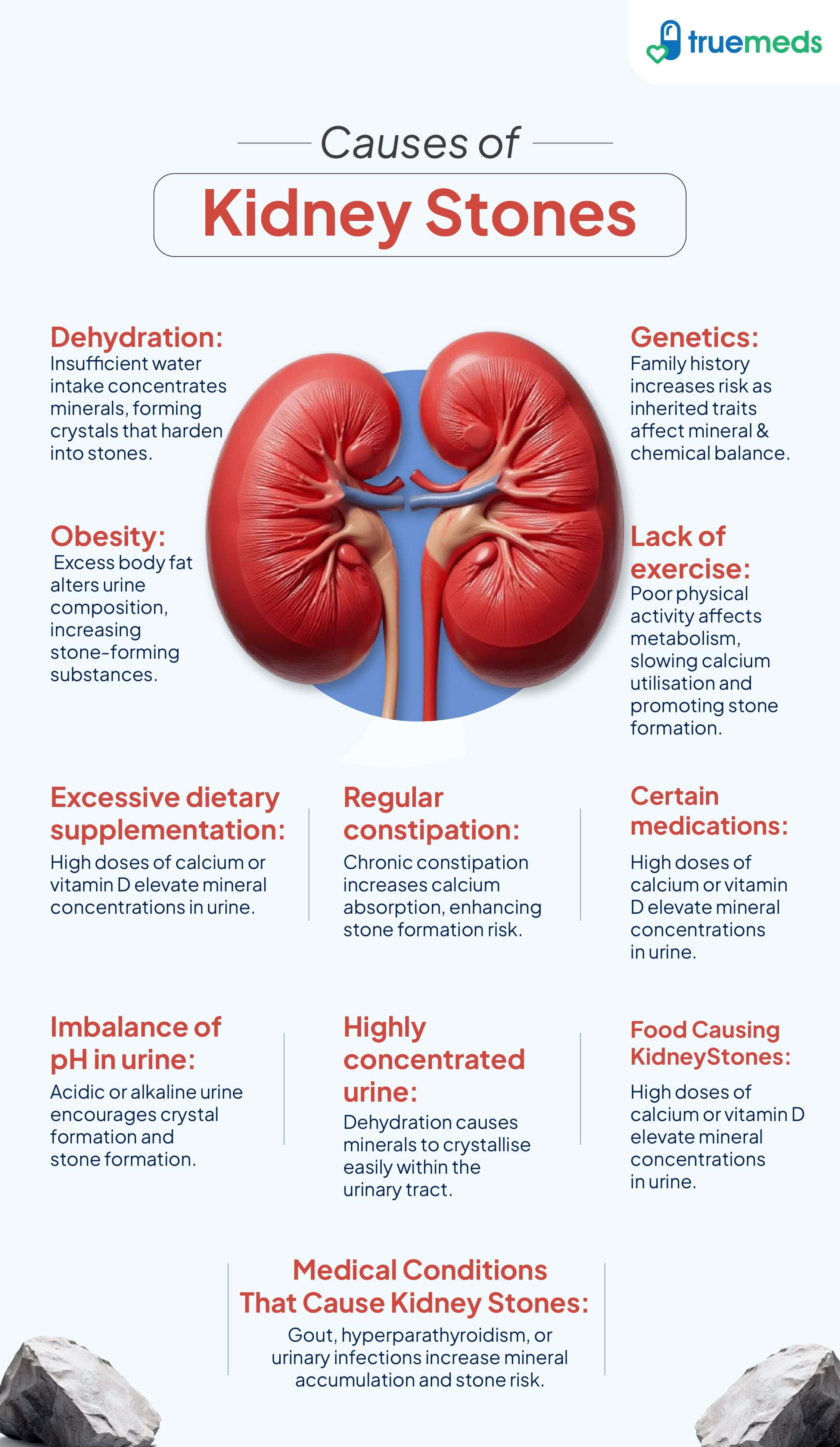 Causes of Kidney Stones infographic