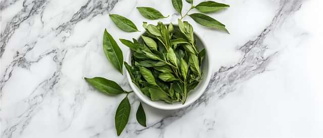 Digestive Health and Metabolism