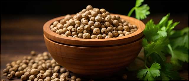 Digestive Health and Metabolism