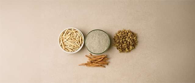 Muscle, Bone and Joint Health