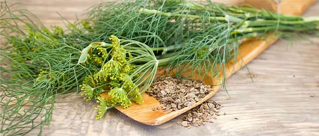 Muscle, Bone and Joint Health