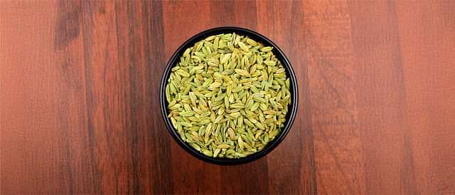 Digestive Health and Metabolism