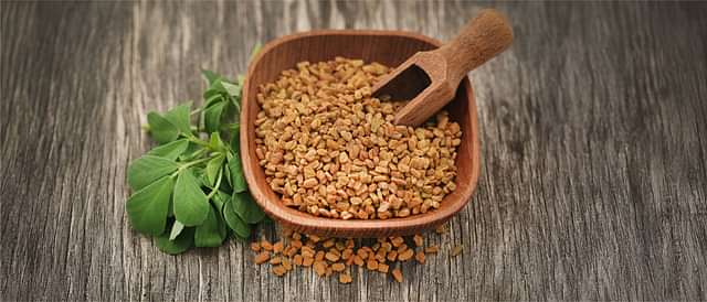 Digestive Health and Metabolism