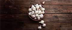 Garlic
