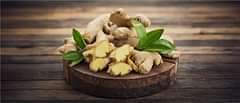 Ginger