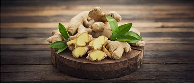 Weight Management & Metabolic Health