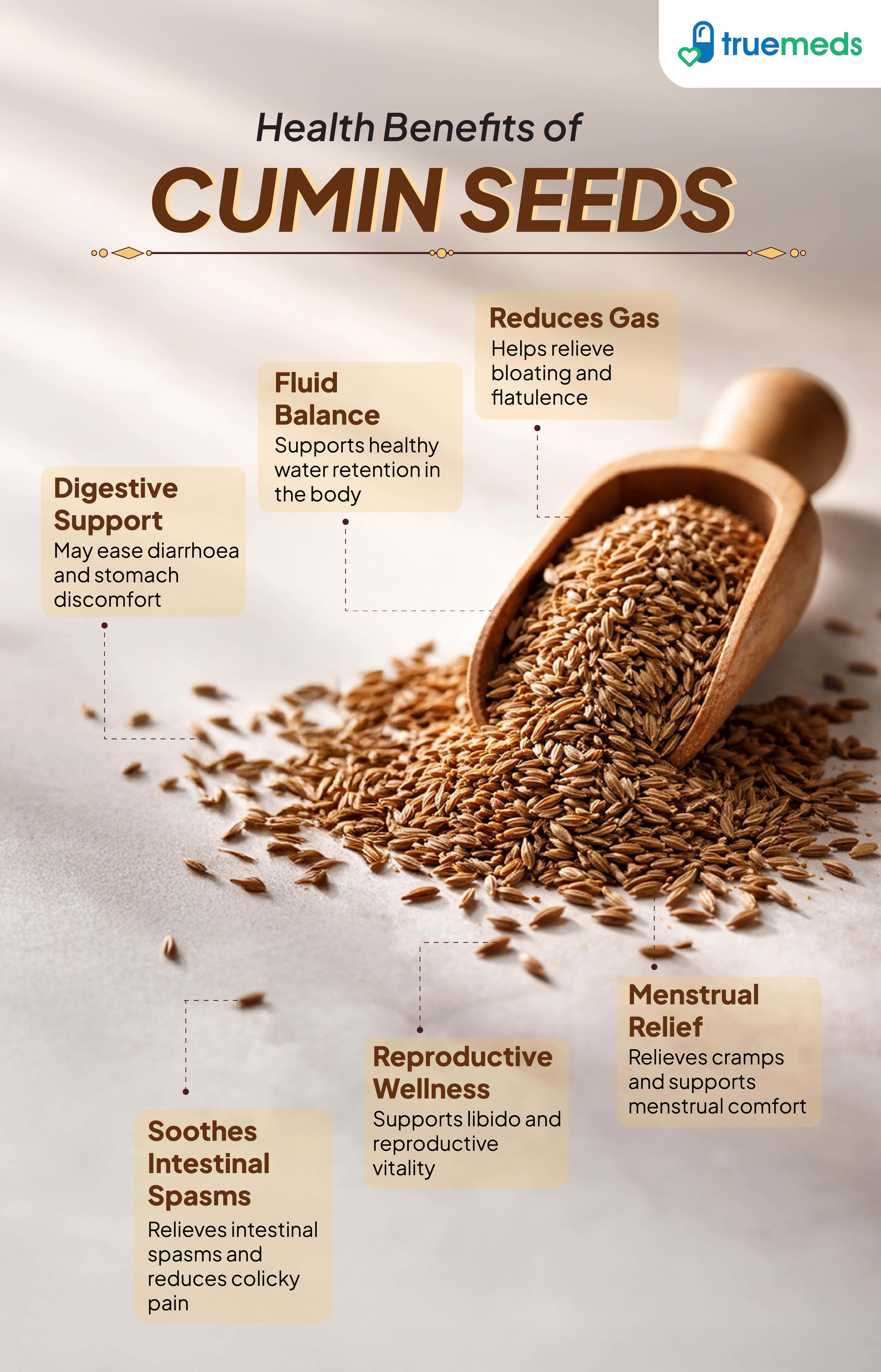 An infographic highlighting the health benefits of cumin seeds for digestion, gas relief, fluid balance and comfort too.