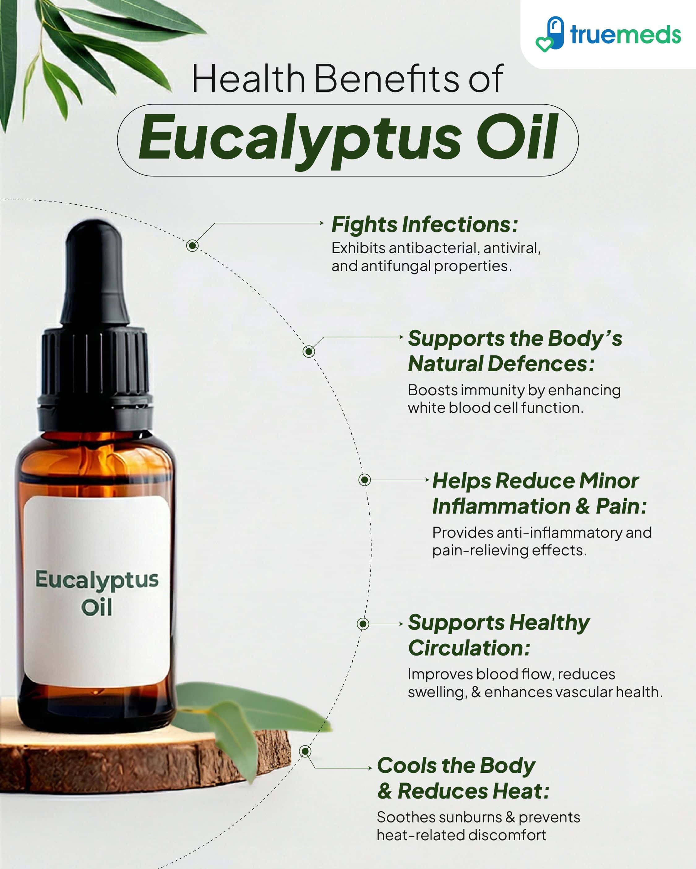 An infographic highlighting eucalyptus oil benefits for immunity, infection control, pain relief, circulation, and cooling effects.
