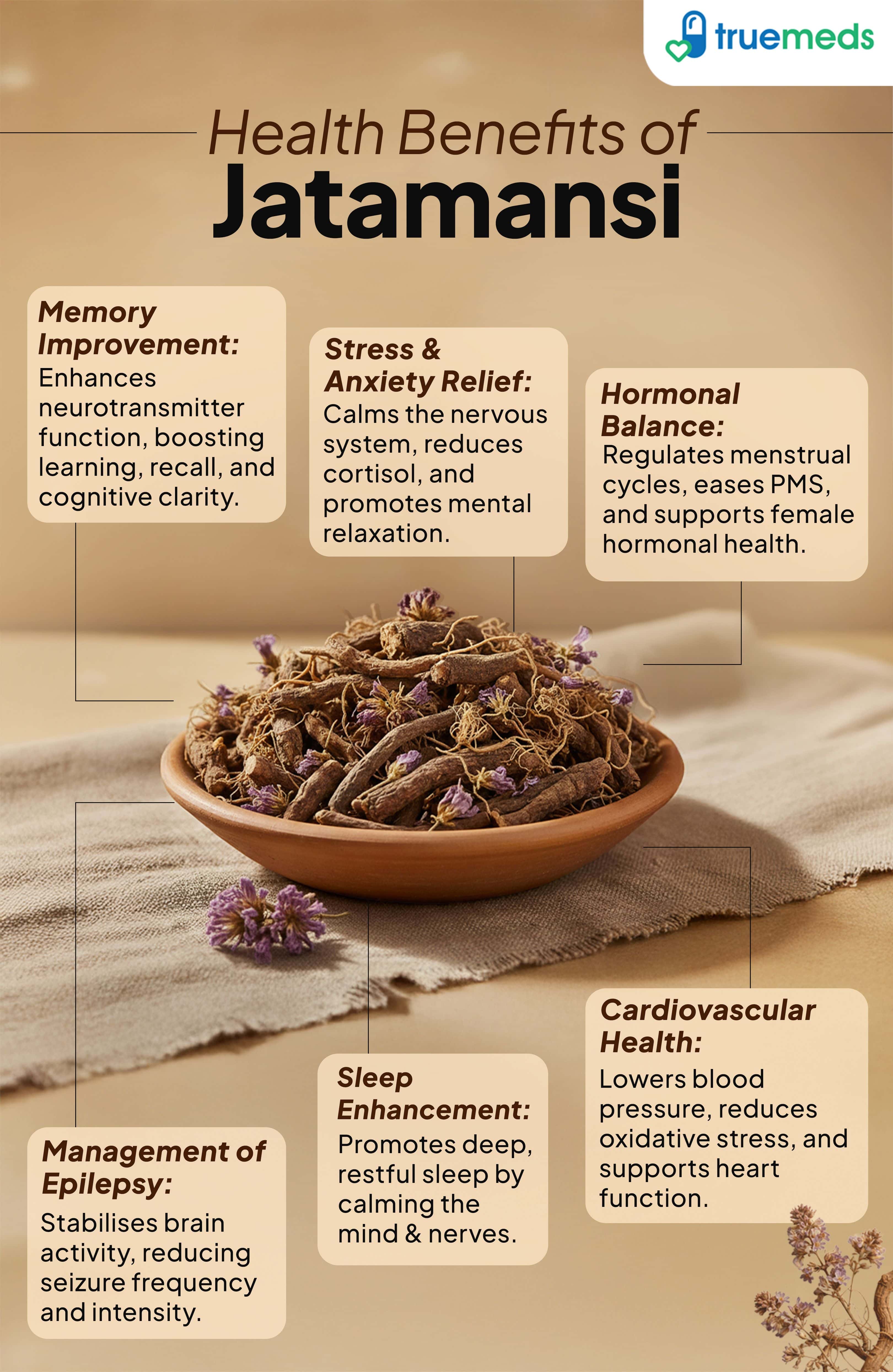 An infographic showing jatamansi benefits for memory, stress relief, sleep, hormones, heart and health.