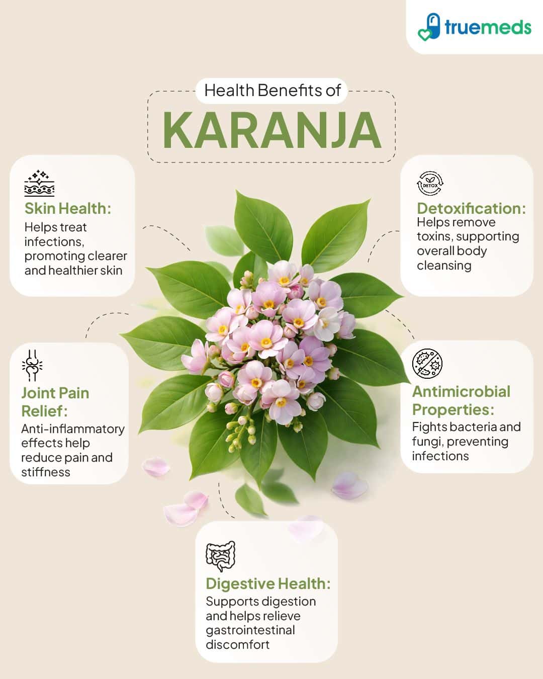 image of health benefits of karanja