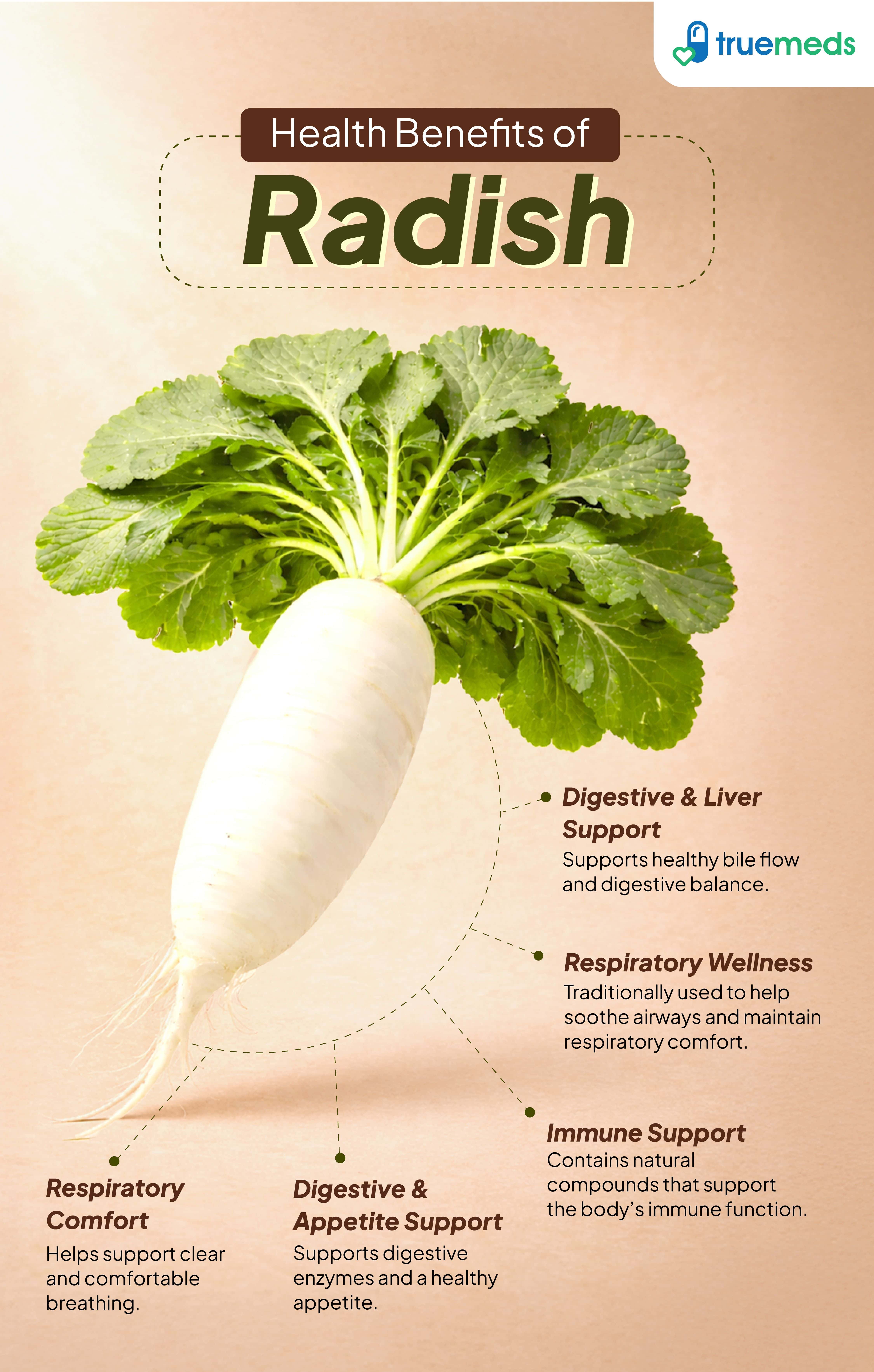 An infographic highlighting radish benefits for digestion, health, immunity and respiratory comfort.