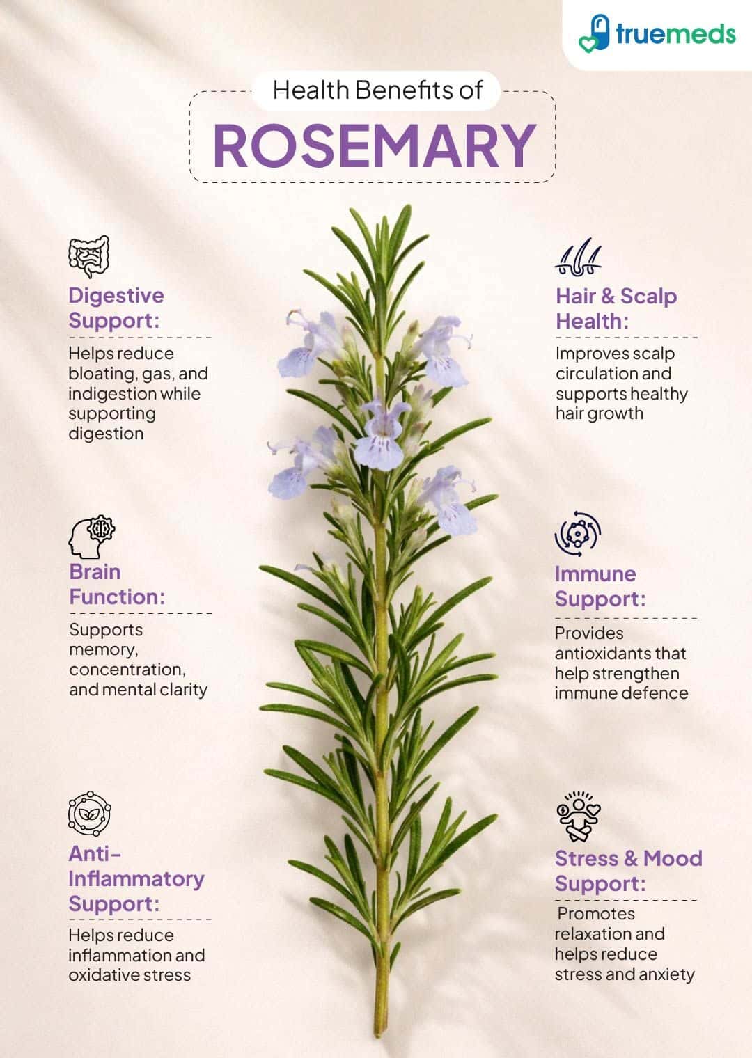image of health benefits of rosemary
