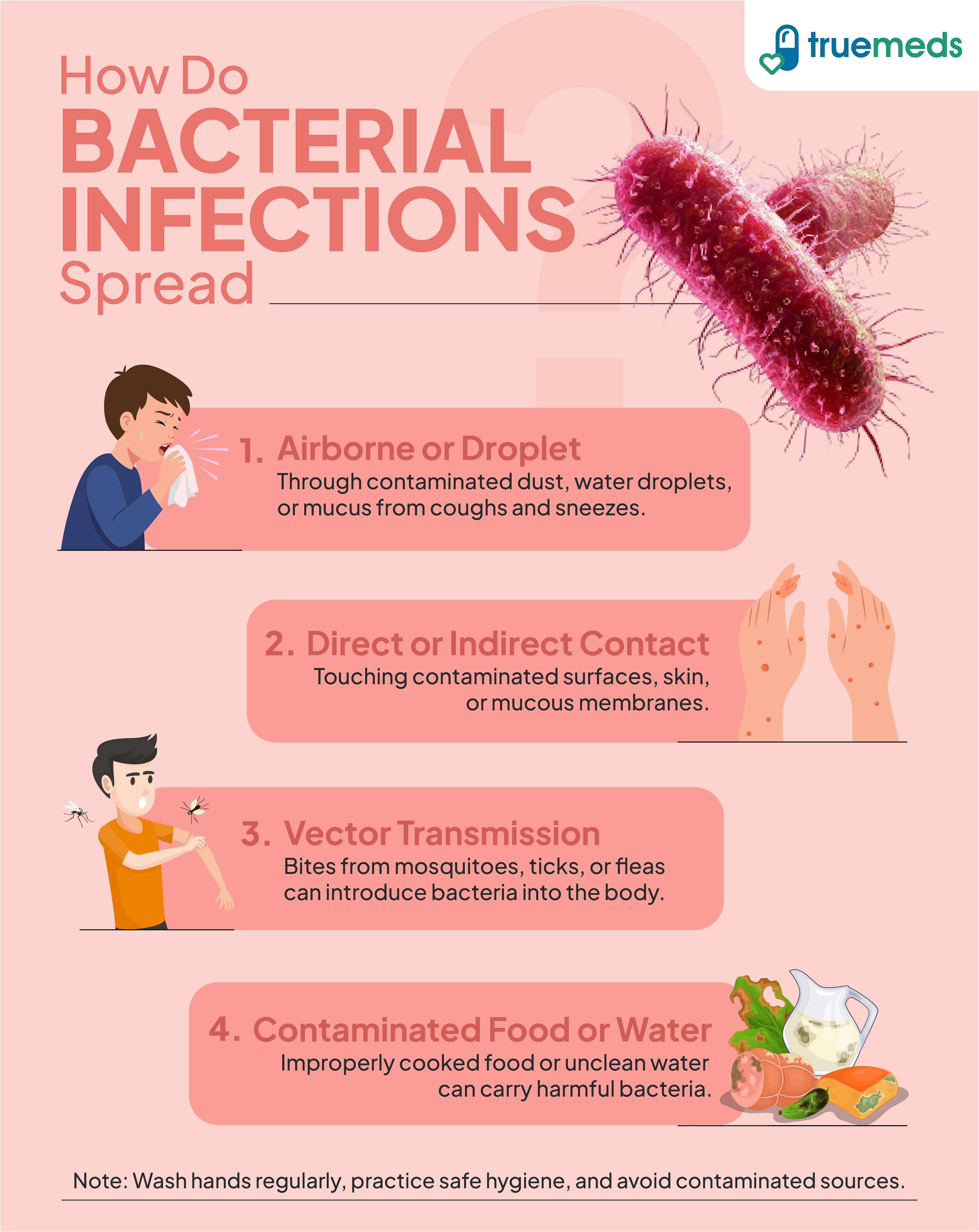 Infographic showing four common ways bacterial infections spread: airborne droplets, direct contact, vector transmission, and contaminated food or water.