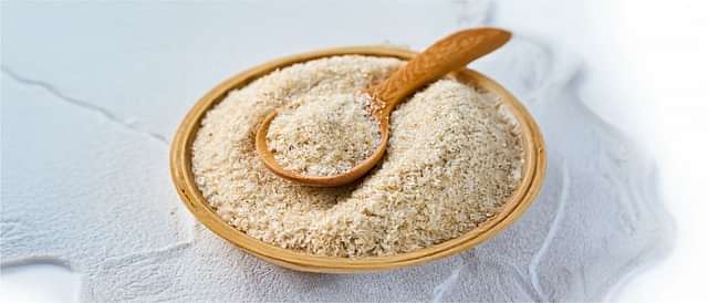 Digestive Health and Metabolism
