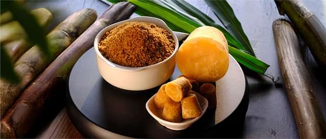 Digestive Health and Metabolism