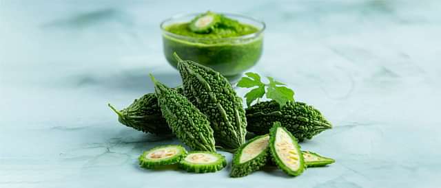 Digestive Health and Metabolism