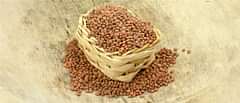 Kulthi