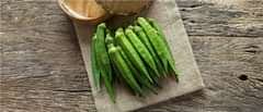 Lady Finger