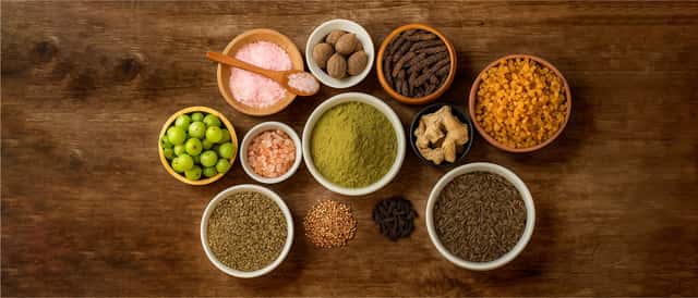 Digestive Health and Metabolism