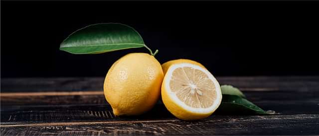 Digestive Health and Metabolism