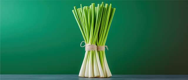Digestive Health and Metabolism