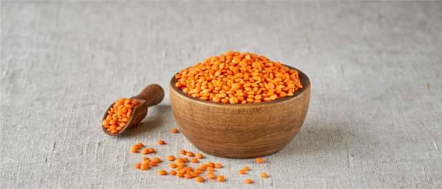 Nutrition & General Wellness