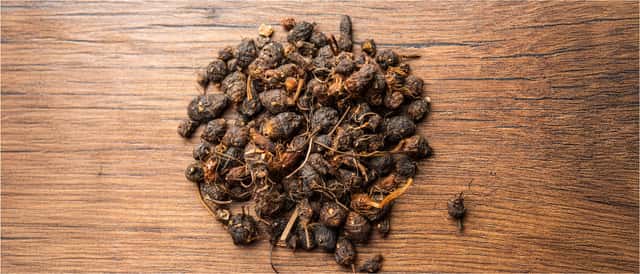 Digestive Health and Metabolism