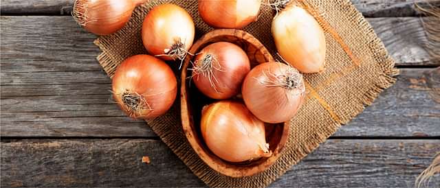 Blood Pressure Regulation