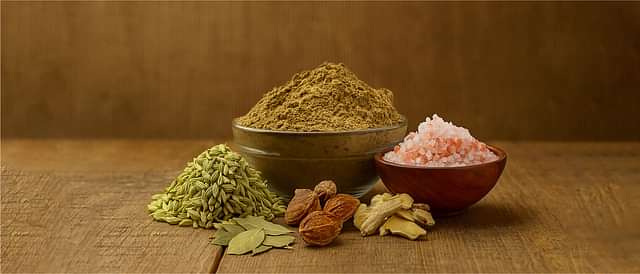 Digestive Health and Metabolism