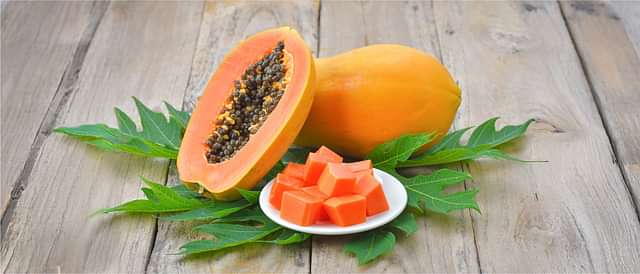 Digestive Health and Metabolism