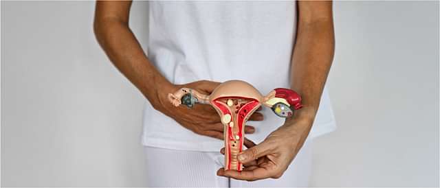 Gynecological And Menstrual Disorders