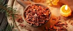 Red Sandalwood